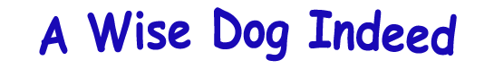 Title - A Wise Dog Indeed